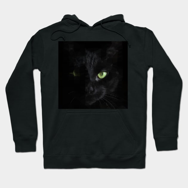 Low Poly Cat Black Hoodie by TRIME